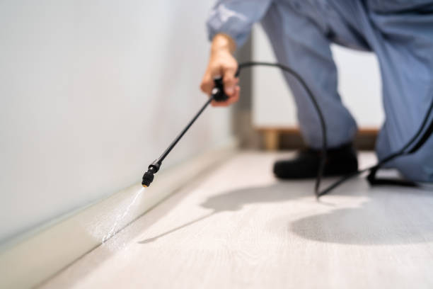 Licensed Mosquito Control service in Groves, TX - Show Me Pest Control