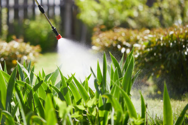 24/7 Emergency Mosquito Control experts in Groves, TX