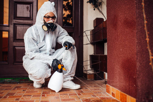 Reliable Mosquito Control contractor in Groves, TX by Show Me Pest Control